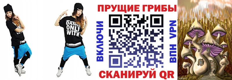 shop телеграм  Прокопьевск  Галлюциногенные грибы MAGIC MUSHROOMS 