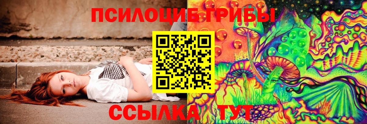 Псилоцибиновые грибы мухоморы Прокопьевск