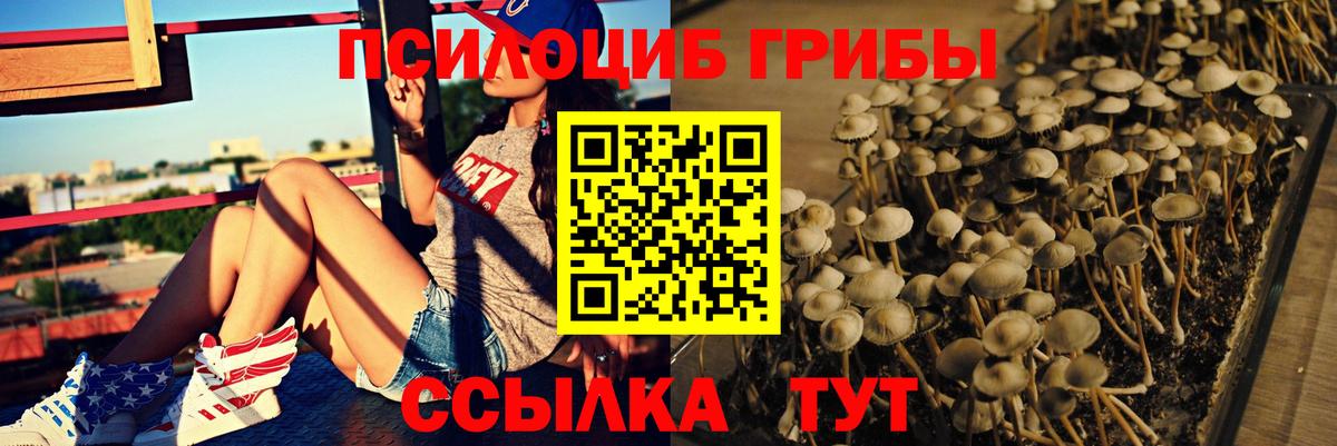 дарнет шоп  Галлюциногенные грибы MAGIC MUSHROOMS  Вход с VPN  Прокопьевск 